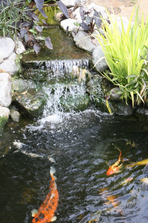RB WATERFALL
