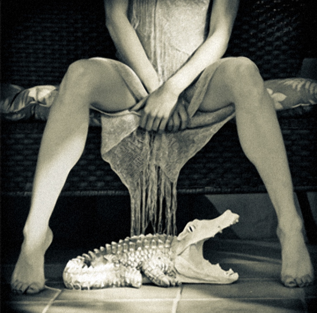 “The Trap,” photograph by Stephen Merriweather