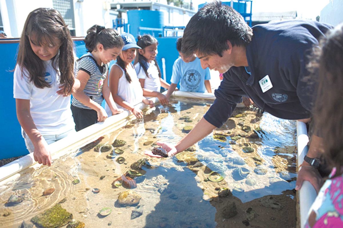 Exploring the Sea Lab Redondo Beach: A Comprehensive Guide