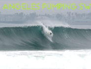 Surfers in the South Bay rejoice over a pumping long January swell