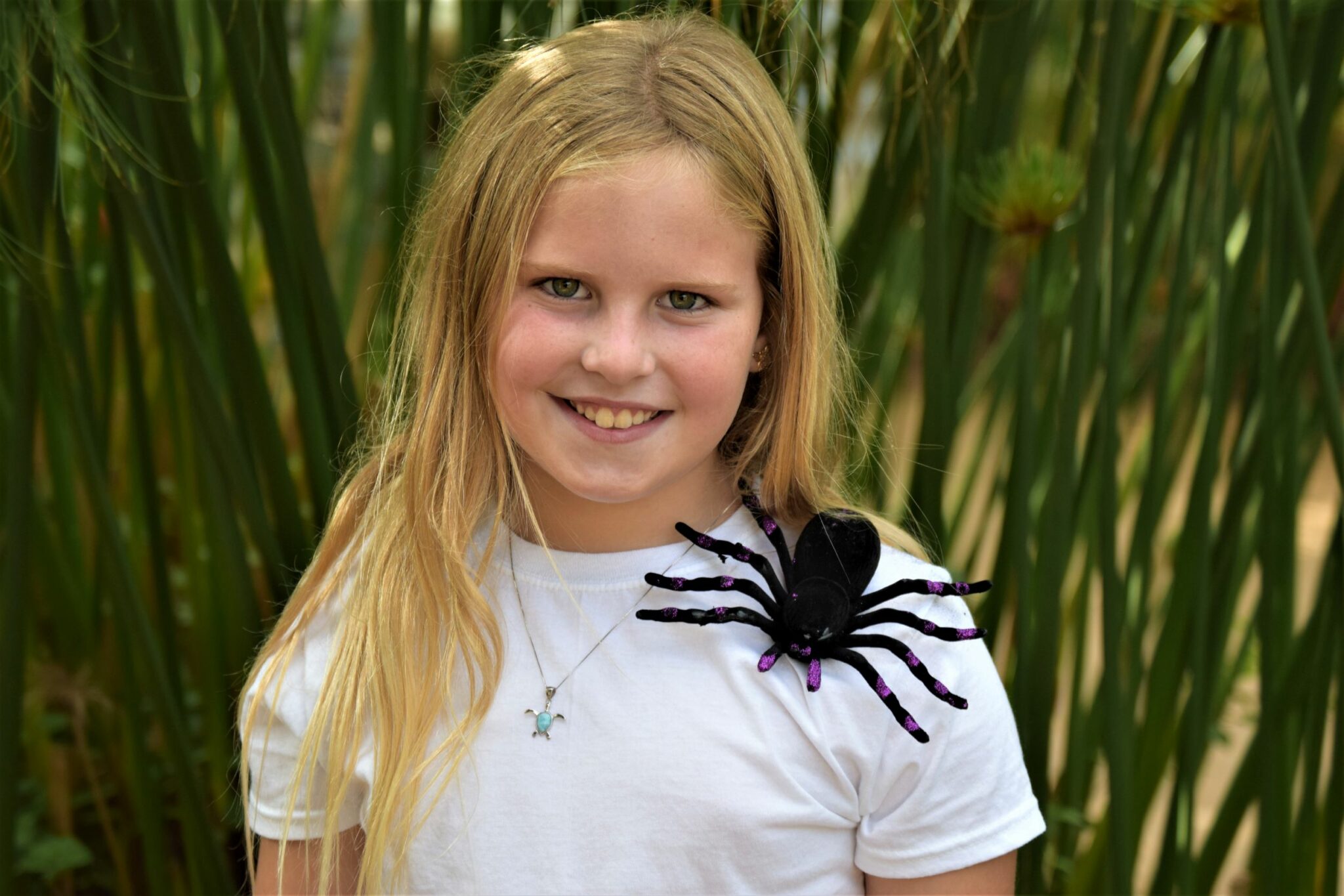 It s Spider Season In Palos Verdes Easy Reader News It s spider season in palos verdes easy reader news